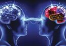 ¿Cómo Funciona la Mente Humana?