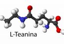 Conoce Acerca de la L-teanina y Sus Beneficios